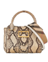 Mini Buckle Tote, front view